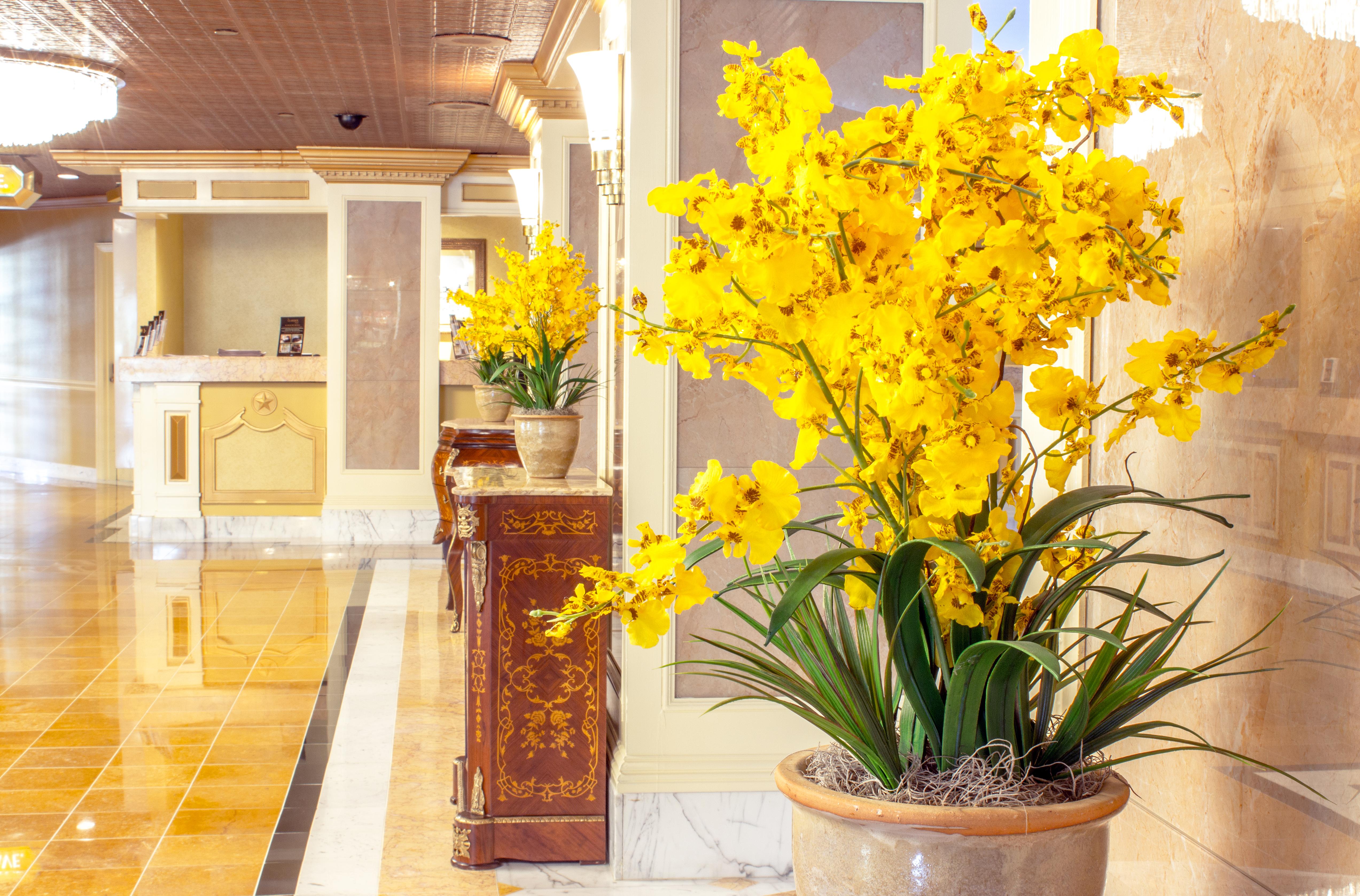 The Claridge Hotel Ατλάντικ Σίτι Εξωτερικό φωτογραφία